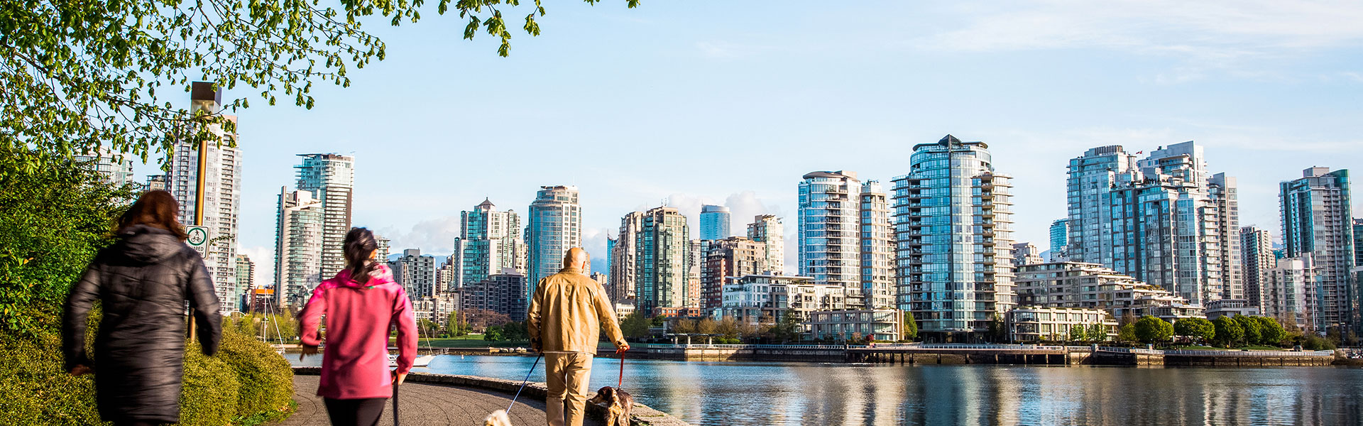 スカイラインを臨む川沿いの小道