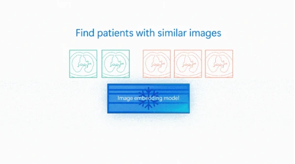 Fig.1 MedImageInsightによる画像分類のイメージ 