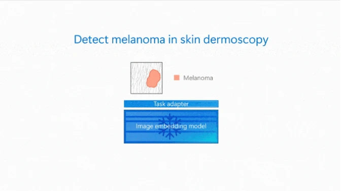Fig.6 MedImageParseに皮膚科画像上で悪性黒色腫を検出させるイメージ 