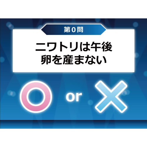 ○× クイズ大会 演出ムービー 画面スライド-2