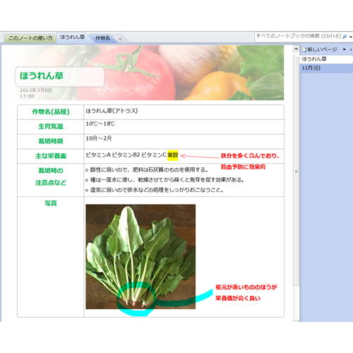 観察日記ノート 画像スライド-1