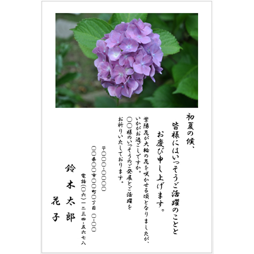 ハガキ (紫陽花) 画像スライド-2