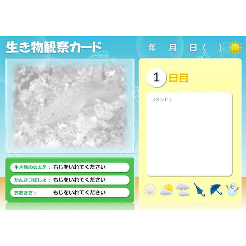 水中の生き物発見帳 画像スライド-1