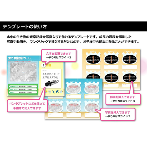 水中の生き物発見帳 画像スライド-4