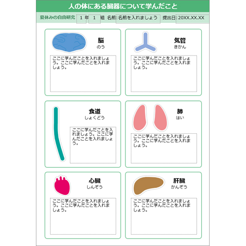 体 (からだ) のしくみパズル 画像スライド-5