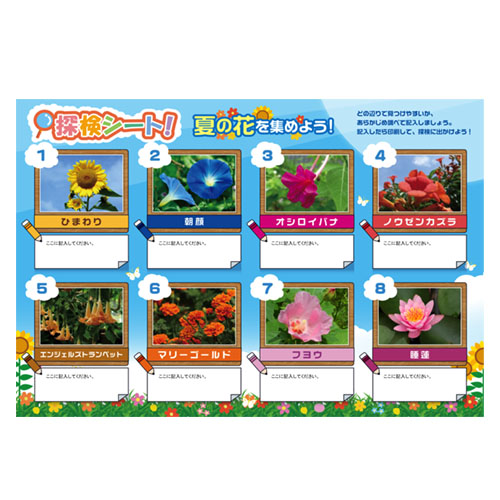 夏の花 (なつのはな) &昆虫 収集 (こんちゅうさいしゅう) シート 画像スライド-1