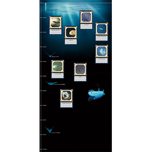 深海生物図鑑 (しんかいせいぶつずかん) 画像スライド-1