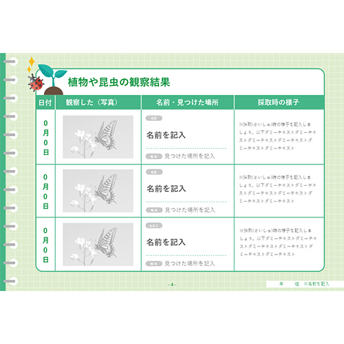 自由研究 (じゆうけんきゅう) ノート (観察 かんさつ) 画像スライド-5