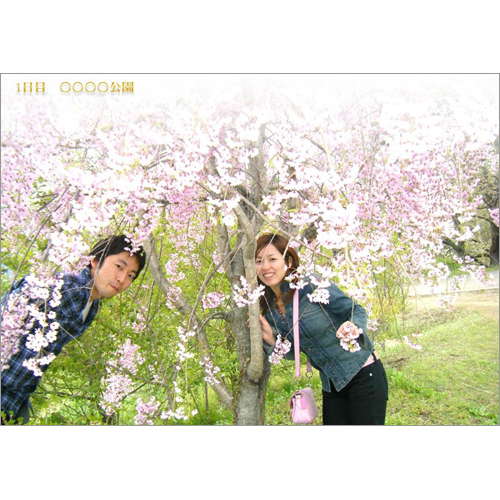 フォト ムービー (ウエディング・クール) 画像スライド-4