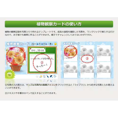 植物観察カード 画像スライド-3